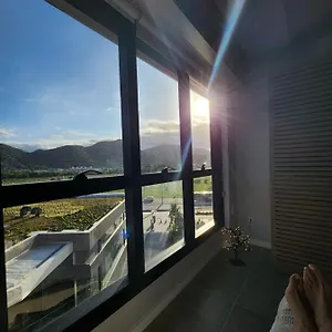 Oka 211campeche Florianópolis