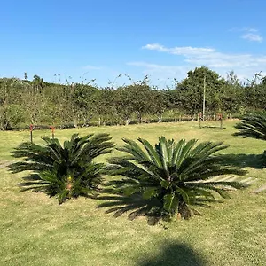 Do Campeche Florianópolis